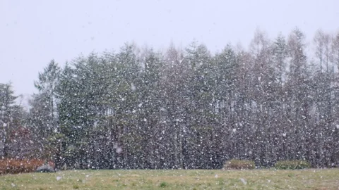 Spring snow heavy snow slow motion shooting Stock-Footage 128470285
