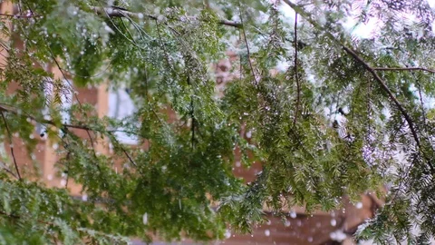 Spring snow heavy snow slow motion shooting Stock Footage 128470432