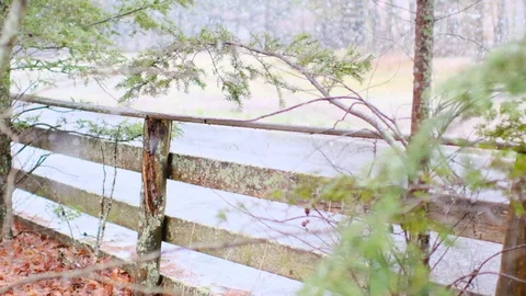 Spring snow heavy snow slow motion shooting Video stock 128470512