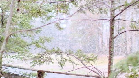 Spring snow heavy snow slow motion shooting Stock Footage 128470539