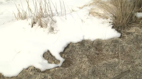 Spring Snow Melt 스톡 동영상 54717287