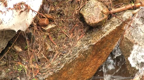 Spring Snow is Melting and Drips onto water Splashed granite Stones Stock Footage