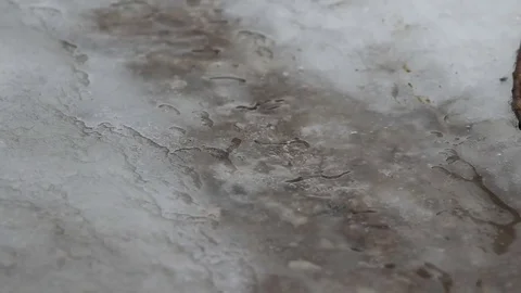 Spring. Snow is melting Stock Footage 82185863