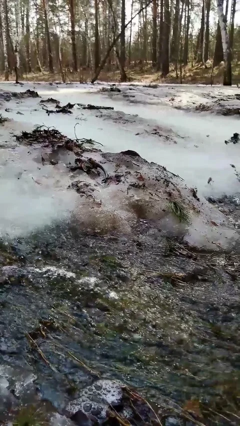 Spring snow melting in the forest, streams running. Vertical shooting 스톡 동영상 208847175