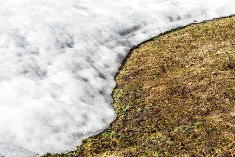 Spring snow is melting. Stock Photos