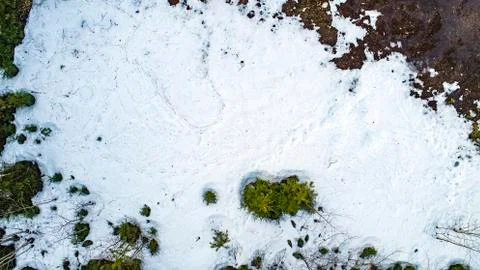 Spring snow melting in the real forest Stock Photos