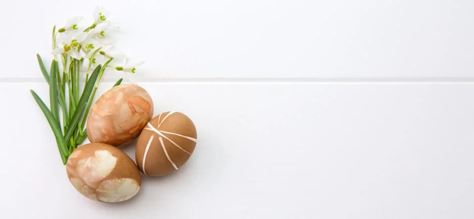 Spring snowdrop and brown easter eggs . Stock Photos