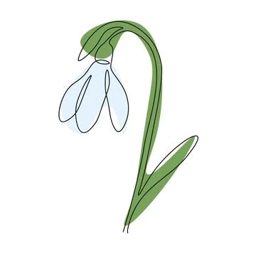 Spring snowdrop flower in continuous line art style.Gentle forest first spr.. Stock Illustration