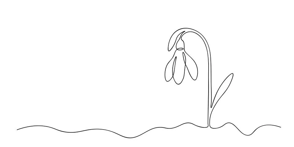 Spring snowdrop flower in continuous line art style. Spring background with.. Stock Illustration
