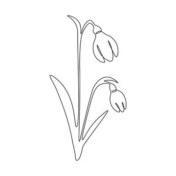 Spring snowdrop flower in continuous line art style.Gentle forest first spr.. Stock Illustration