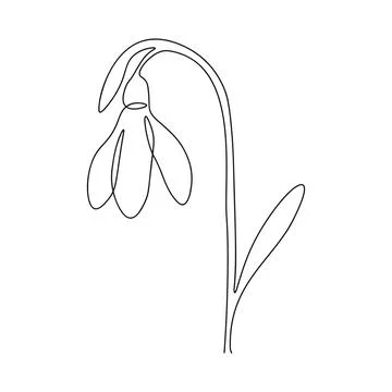 Spring snowdrop flower in continuous line art style.Gentle forest first spr.. Stock Illustration