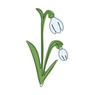 Spring snowdrop flower in continuous line art style.Gentle forest first spr.. Stock Illustration