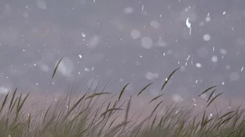 Spring Snowfall on Blooming Trees and Plants Stock Footage 330248675