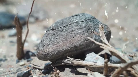 Spring Snowfall on Blooming Trees and Plants 스톡 동영상 330248760