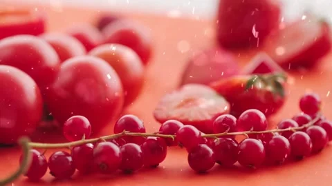 Spring Snowfall on Blooming Trees and Plants Stock Footage 330248830