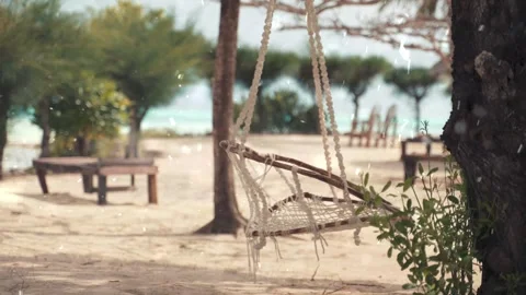 Spring Snowfall on Blooming Trees and Plants Stock Footage 330249171