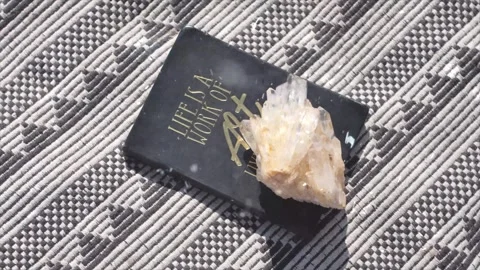 Spring Snowfall on Blooming Trees and Plants 스톡 동영상 330275311