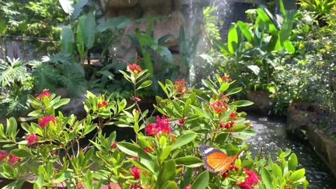 Spring Snowfall on Blooming Trees and Plants Stock Footage 330275408