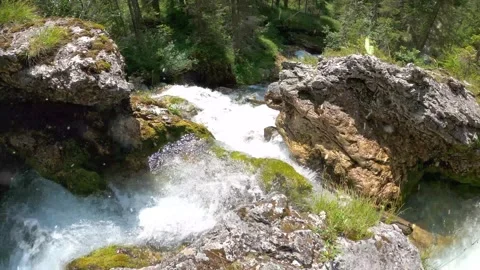 Spring Snowfall on Blooming Trees and Plants Stock Footage 330275589