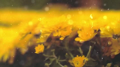 Spring Snowfall on Blooming Trees and Plants 스톡 동영상 330275644