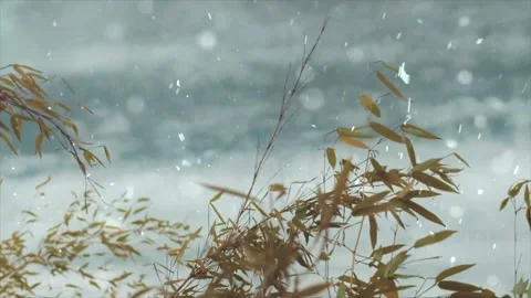 Spring Snowfall on Blooming Trees and Plants Stock Footage 330275652