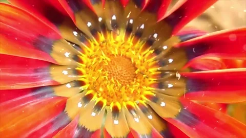 Spring Snowfall on Blooming Trees and Plants Stock Footage 330275984