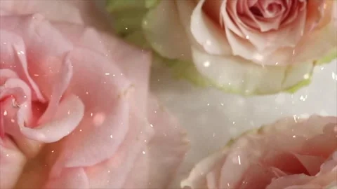 Spring Snowfall on Blooming Trees and Plants Video stock 330276563