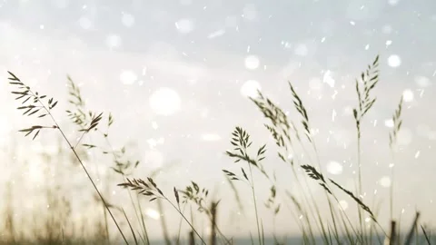 Spring Snowfall on Blooming Trees and Plants Stock Footage 330276791