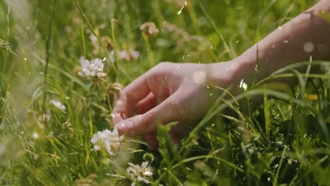 Spring Snowfall on Blooming Trees and Plants 스톡 동영상 330277014