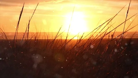 Spring Snowfall on Blooming Trees and Plants 스톡 동영상 330277068