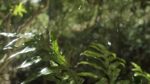 Spring Snowfall on Blooming Trees and Plants Stock Footage 330277324