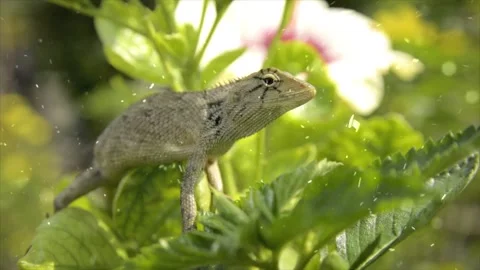 Spring Snowfall on Blooming Trees and Plants Video stock 330277654