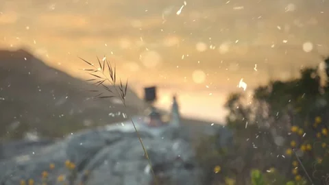 Spring Snowfall on Blooming Trees and Plants Stock Footage 330277924