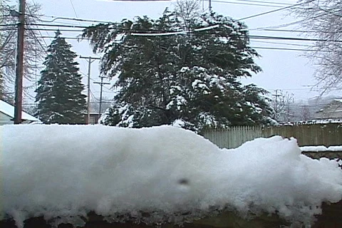 Spring Snowfall  Stock Footage 360800