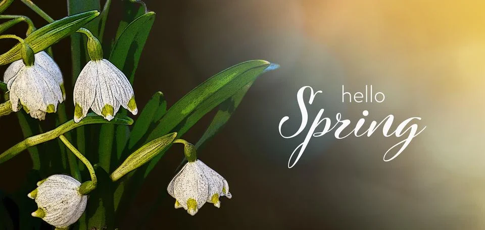 Spring snowflake and Hello spring text Stock Photos