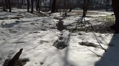 Spring snowmelt and spring creek Stock Footage 36036571