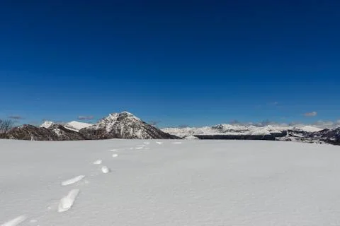 Spring snowy landscape Foto stock