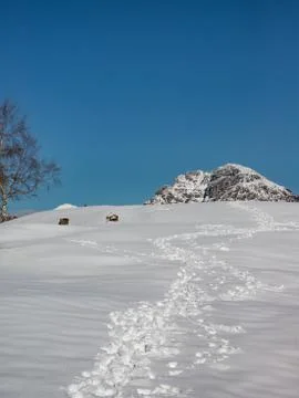 Spring snowy landscape Stock Photos