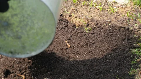 Spring soil preparation for planting Stock Footage 159751040