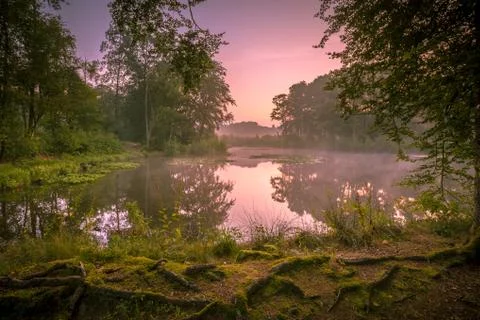 Spring source lake at sunrise Stock Photos