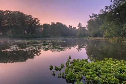Spring source pond Stock Photos