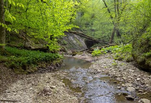 Spring, the source of the river originating in a mountainous area, a day in a Stock Photos