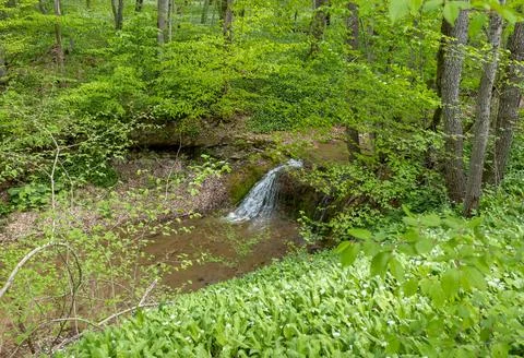 Spring, the source of the river originating in a mountainous area, a day in a Stock Photos