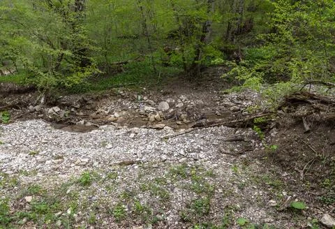 Spring, the source of the river originating in a mountainous area, a day in a Foto stock