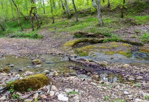 Spring, the source of the river originating in a mountainous area, a day in a Stock Photos