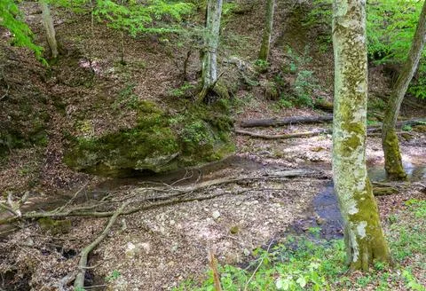 Spring, the source of the river originating in a mountainous area, a day in a Stock Photos