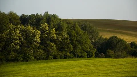 Spring sowing 4K Stock Photos