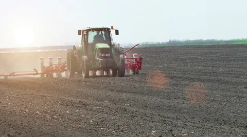 Spring Sowing of Sugar Beet Stock Footage 62341548