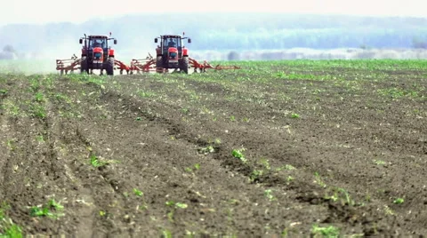 Spring Sowing of Sugar Beet Stock Footage 62341914