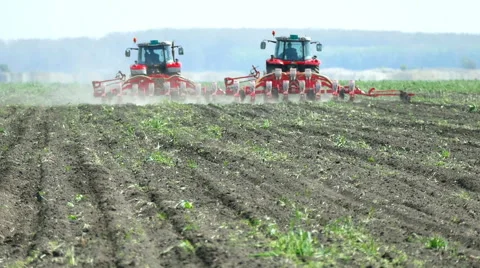 Spring Sowing of Sugar Beet Stock Footage 62342588